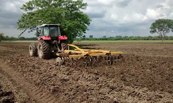 Se necesitan más de 2 millones de litros de gasoil para ciclo de siembra de arroz en verano