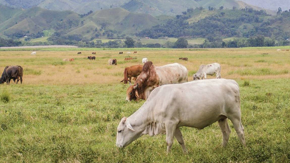 Comunicado de Fedeagro y Fedenaga