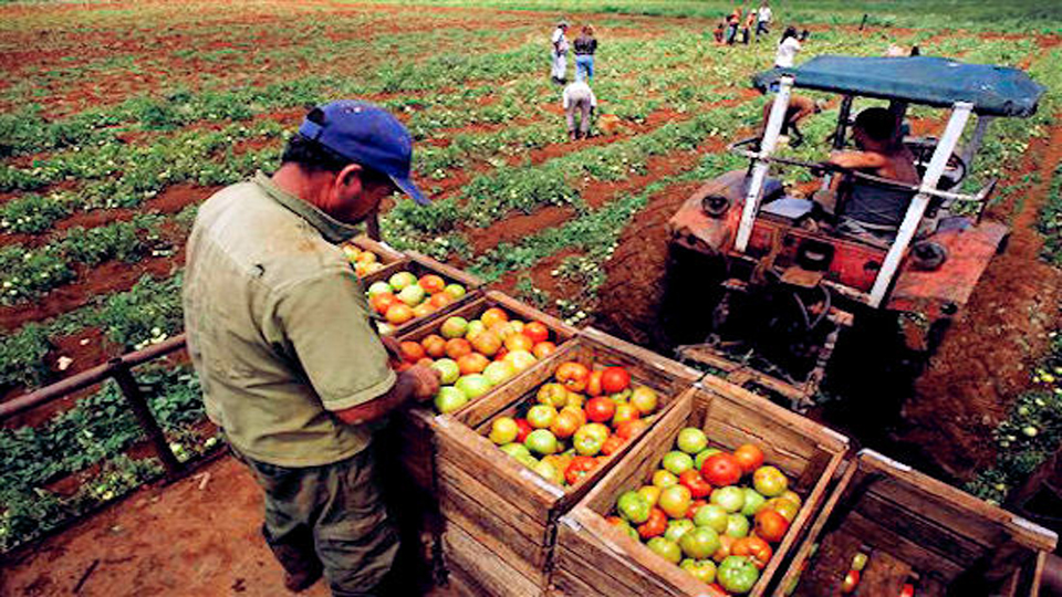 Producción