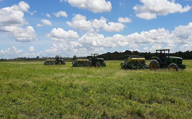 Portuguesa| La actividad agrícola ha evolucionado dentro de las circunstancias