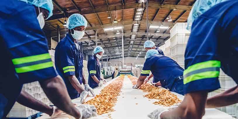 Trabajadores, tapabocas