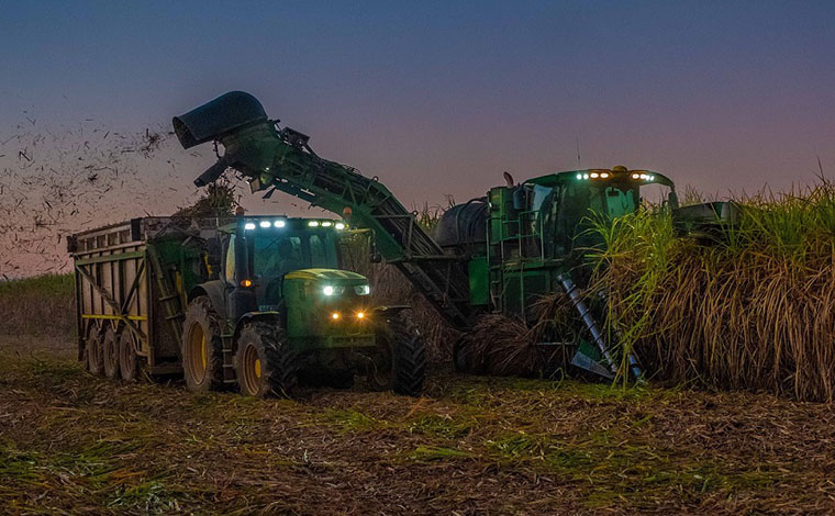 FESOCA estima producir 3 millones 200 mil toneladas de caña de azúcar en la zafra 2021-2022