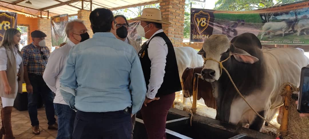 Feria de San Sebastián