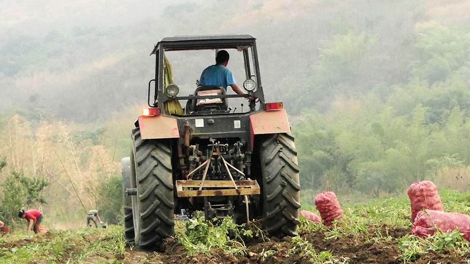 Inseguridad y falta de diésel vulneran producción agropecuaria en Zulia