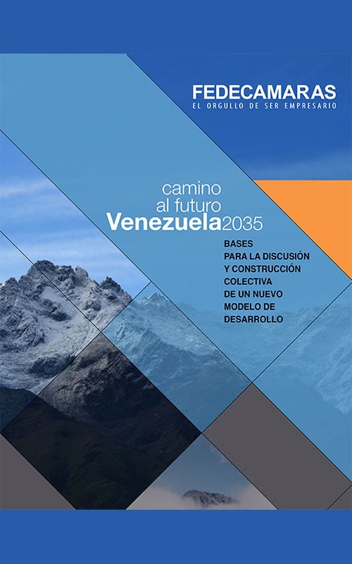 Camino al futuro. Bases para la Discusión y Construcción